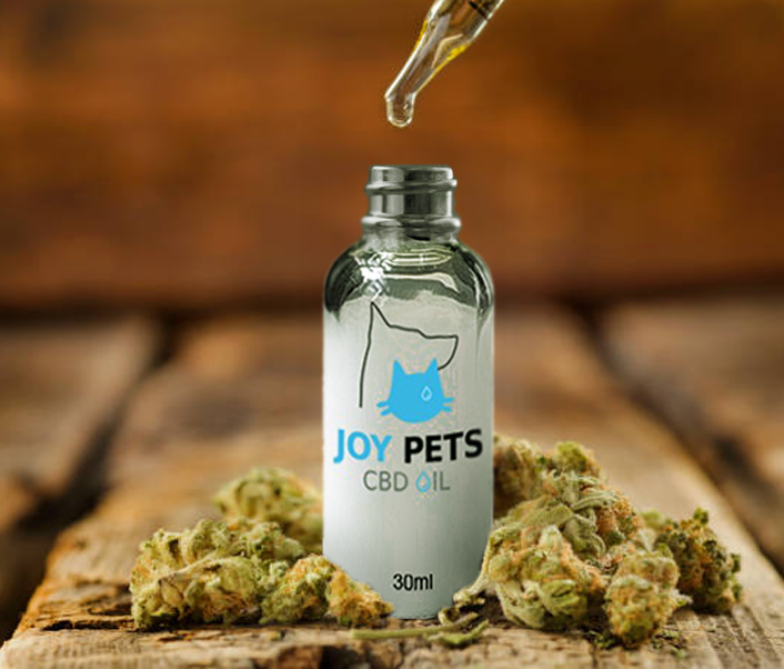The Benefits of CBD for Pets: How JoyPets Supports Your Furry Friend’s Wellness